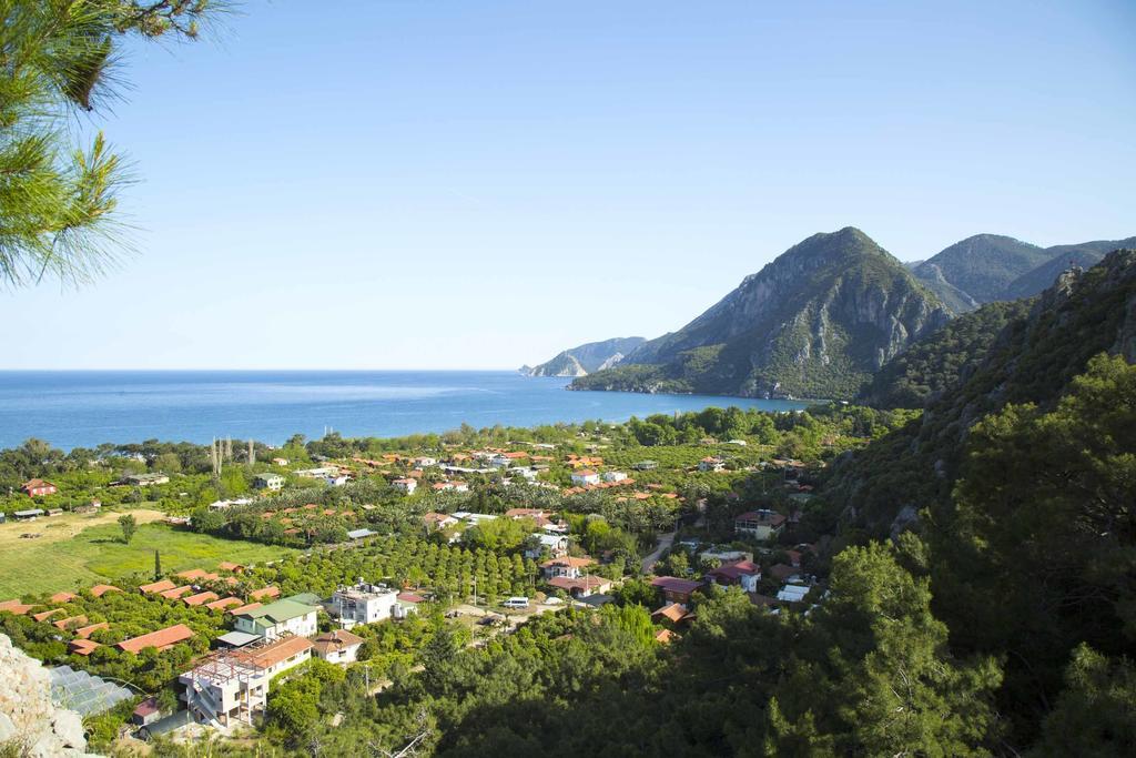 Dostlar Pension Текирова Экстерьер фото