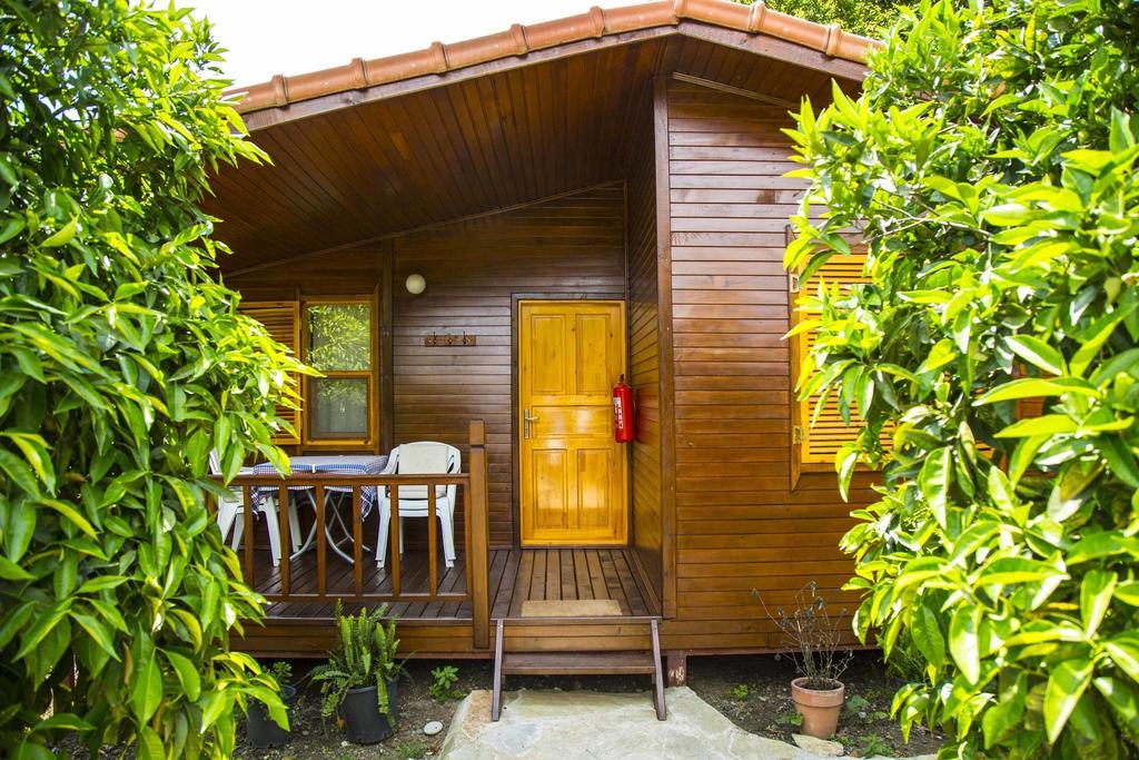 Dostlar Pension Текирова Экстерьер фото