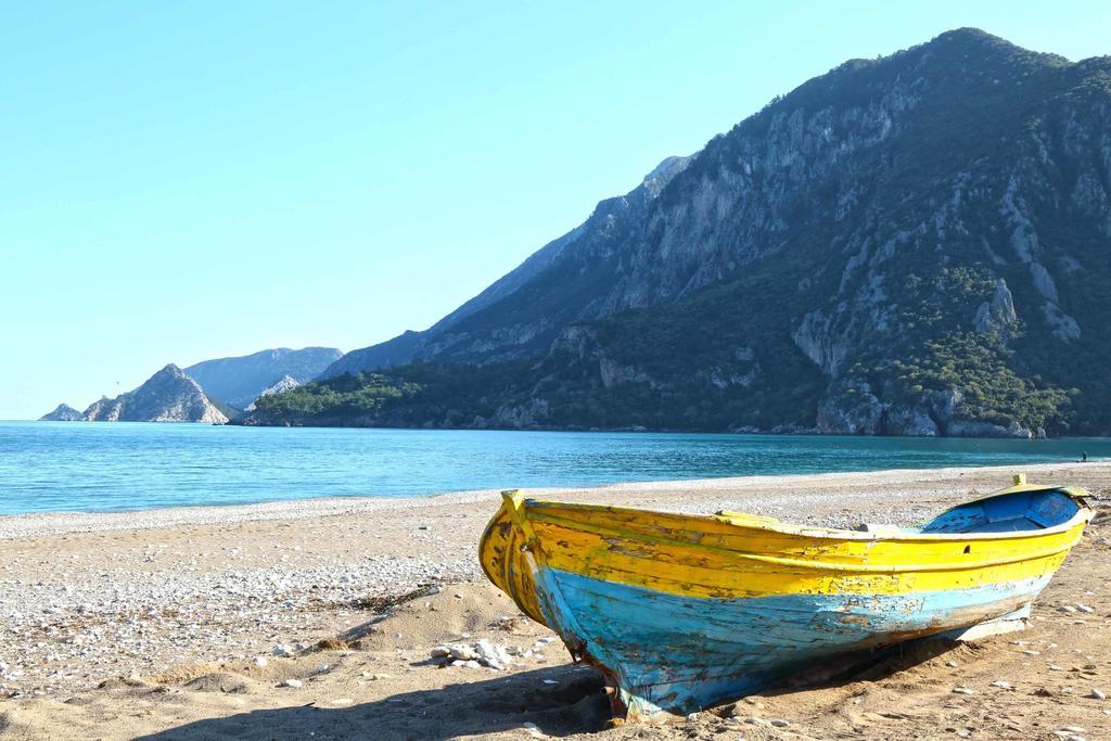 Dostlar Pension Текирова Экстерьер фото