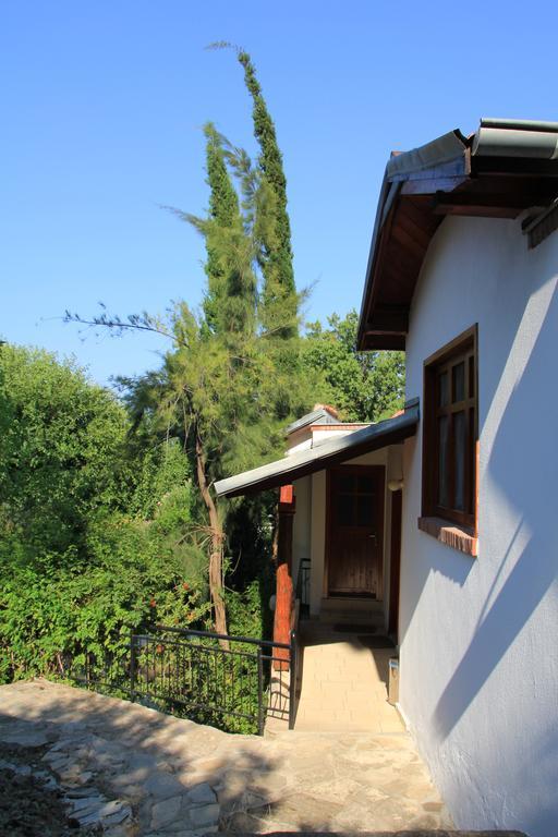 Dostlar Pension Текирова Экстерьер фото